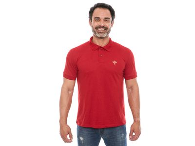 Camiseta Gola Polo Espírito Santo GMP11630