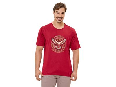 Camiseta Espirito Santo DV13557